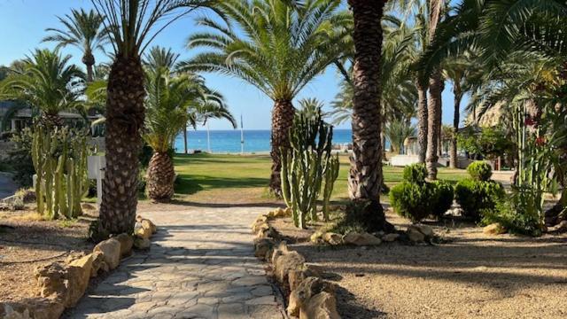 Modern Apartment Sea View With Private Jacuzzi Villajoyosa  Exterior foto